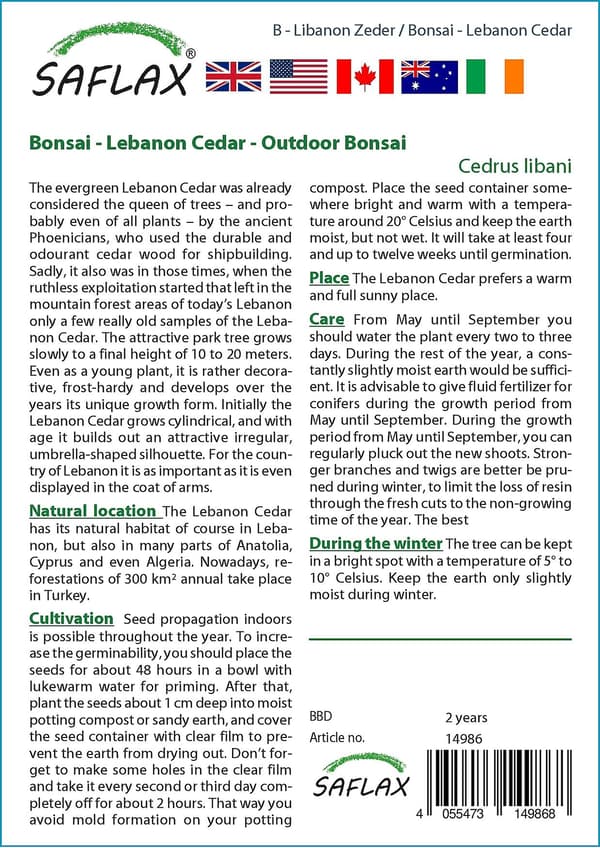 Saflax - 20 Bonsai Libanonsederfrø (Cedrus libani) med Substrat