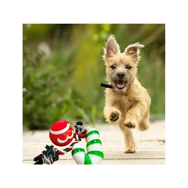 Hundleksaksset hundben 3 st mix leksak julklapp[CO]