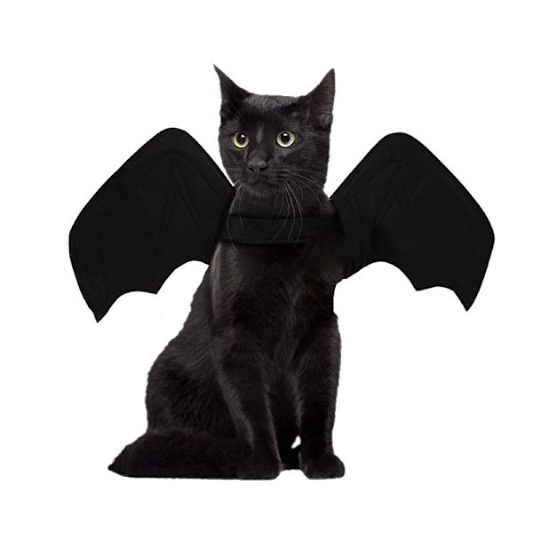 Halloween kattungekostym Roliga husdjurskläder Cosplay Fancy