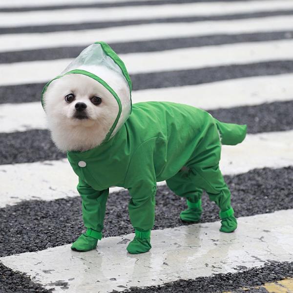 Hund Regnrock hundkläder GRÖN L Green L