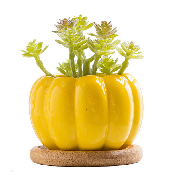 Keramiska pumpa blomkrukor plantskola GUL yellow