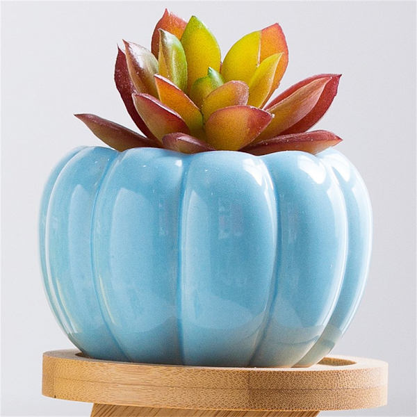 Keramiska pumpa blomkrukor Nursery Basin BLÅ blue