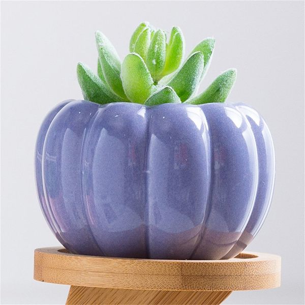 Keramiska pumpa blomkrukor plantskola Basin LILA purple