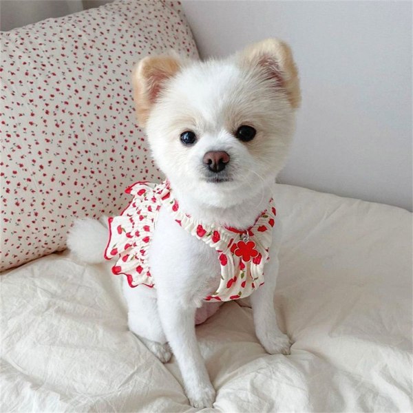 Pet Dog Sommarkläder Strawberry Dress RED M red M