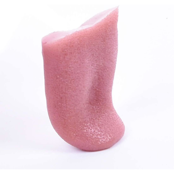 2 st Horrible Stretchable Tongue Realistisk Magic Tongue Fake Tongue Specialfunktion