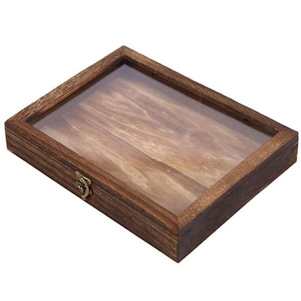 Case Bildram Insektsexemplar Display L L