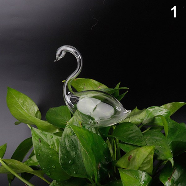 Typer Glas Blommor Vattenmatare Automatisk självbevattning De Transparent 1