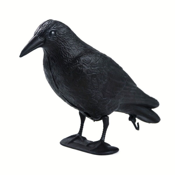Livsstorlek Crow Scarer Pigeon Skadedjursbekämpning