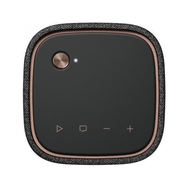 YAMAHA Bluetooth-högtalare WS-B1A CGY