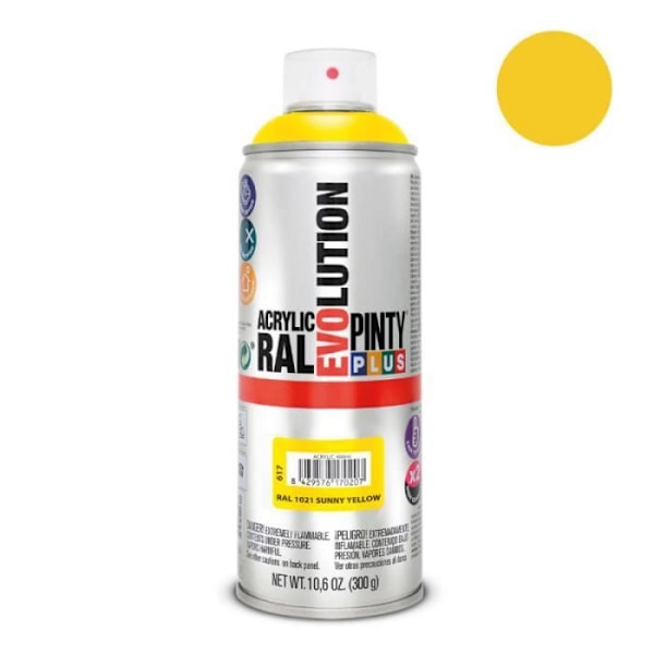 pintyplus sprayfärg