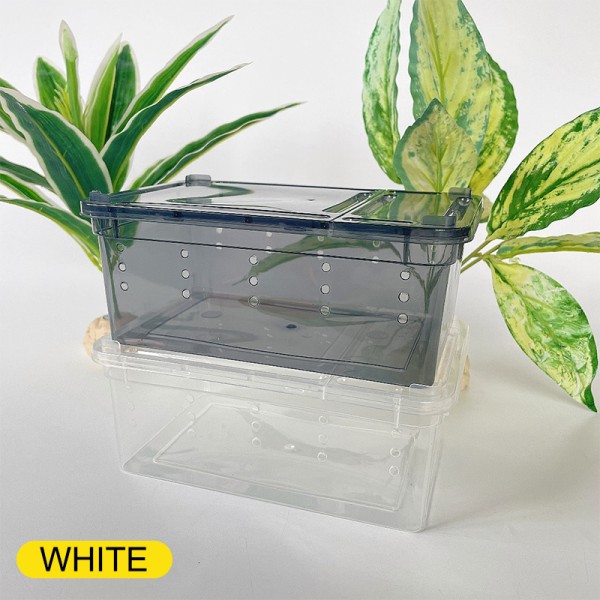 Krybdyr Spider Transparent Plastic Feeding Box Insektfodring White 15*10*6.5cm