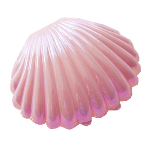 Shell Ring Halskjede Øredobber Smykker Oppbevaring Organizer Box Case White 10cm