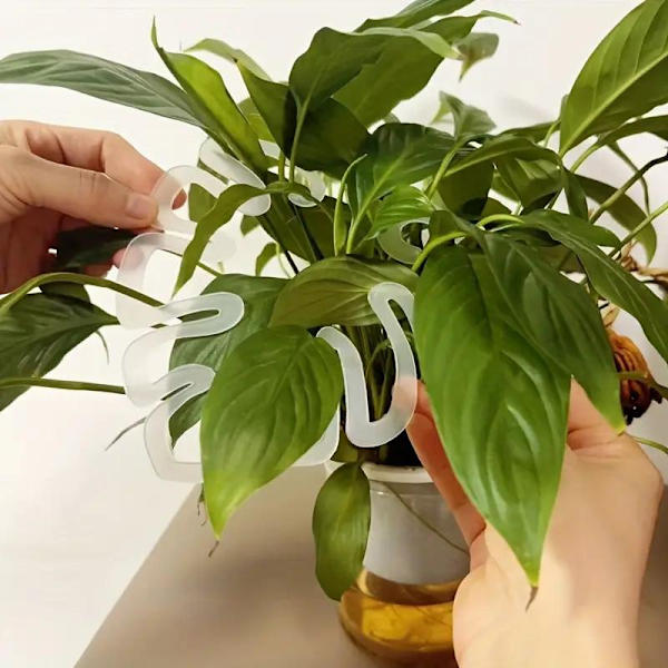 Blomsterstödram Grensamlingsram och grönsaksfixering A one size