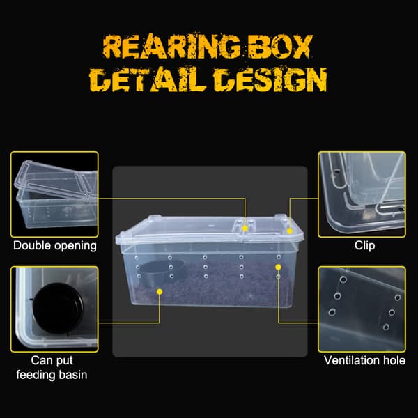 Krybdyr Spider Transparent Plastic Feeding Box Insektfodring White 15*10*6.5cm