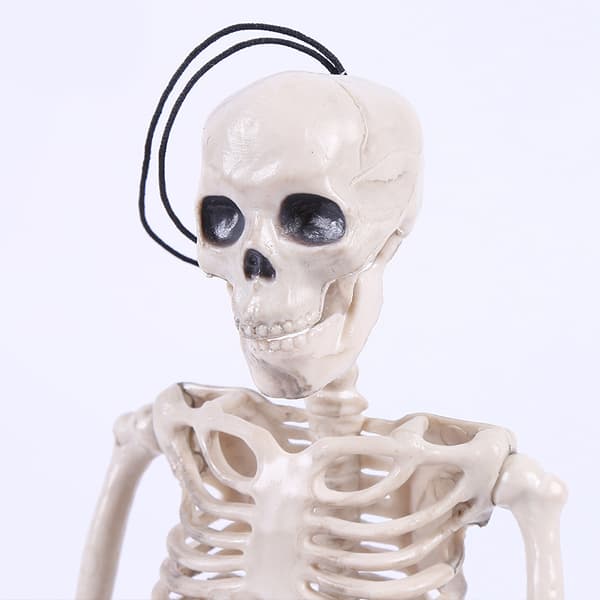Posable Skeleton Halloween Decor Man Bone Creepy Party Decorat White onesize