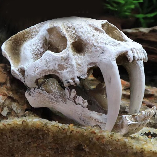 Simulering Resin Skull Ornaments DIY Aquarium Fish Tank Decora 2 2