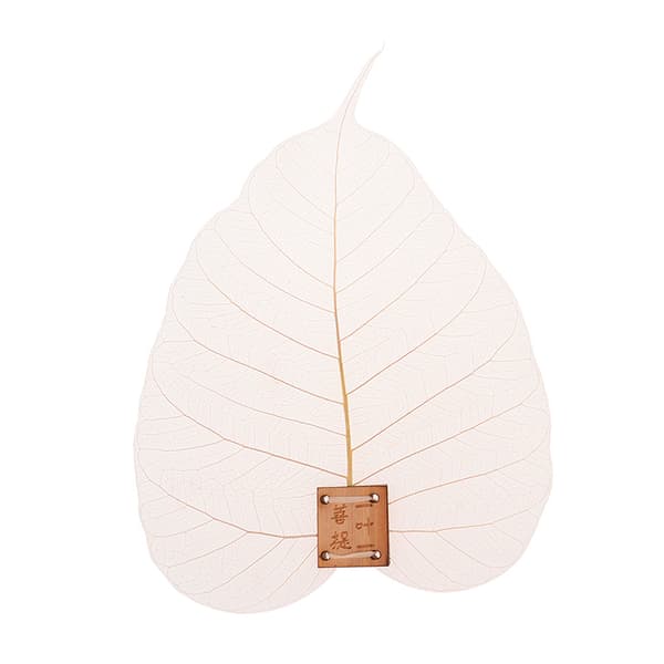 Bladformet bodhi-teinfuser med lekkasjefunksjon onesize