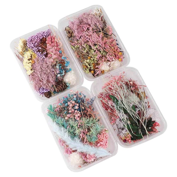 Tørrede blomster Naturlig blomsterkunst Craft Scrapbooking Resin Jewel Multicolor 5Pcs