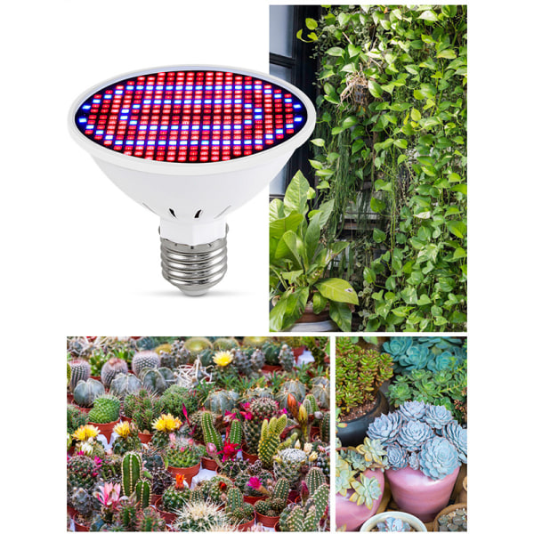 300LED Hydroponic Growth Light Led Grow Bulb MR16 Full Spectrum 300LED