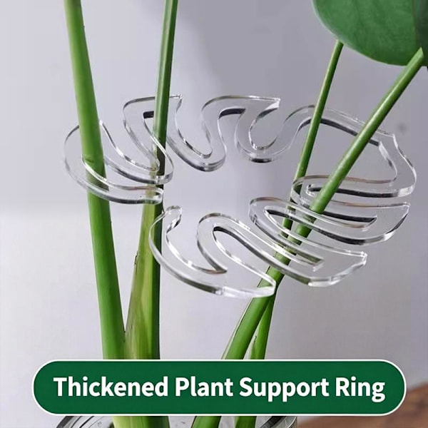 Blomsterstödram Grensamlingsram och grönsaksfixering A one size