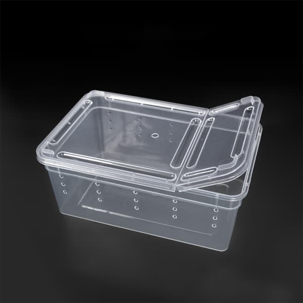 Krybdyr Spider Transparent Plastic Feeding Box Insektfodring White 15*10*6.5cm