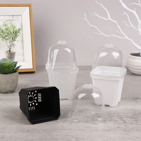 5st fyrkantig liten blomkruka med fuktkupol lings ing krukor Transparent one size