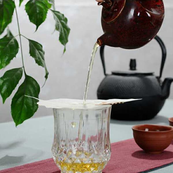 Bladformet bodhi-teinfuser med lekkasjefunksjon onesize