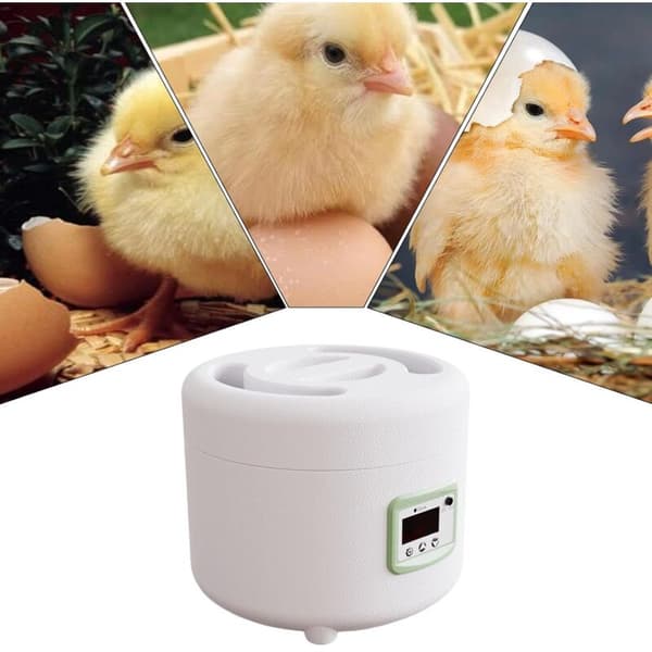Automatisk 9-äggs inkubator – Integrerad belysning – Exakt temperaturkontroll – Automatisk strömförsörjning