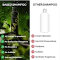 Nytt Based Body Works Schampo och Balsam Set 2026
