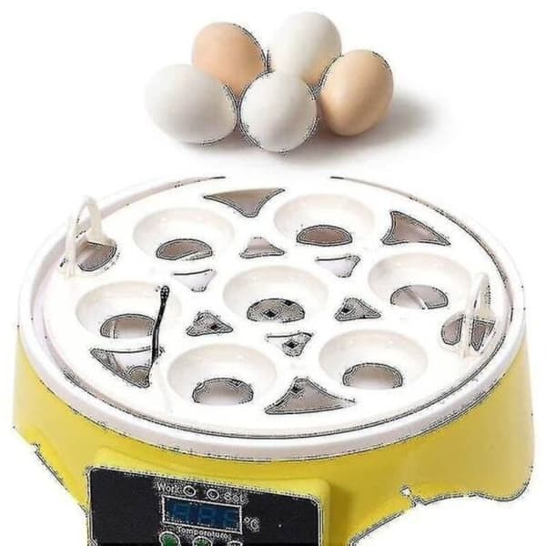 Helautomatisk äggkläckare för fjäderfä. 7-delars set. Temperaturkontroll. Kläckare för hönsägg.