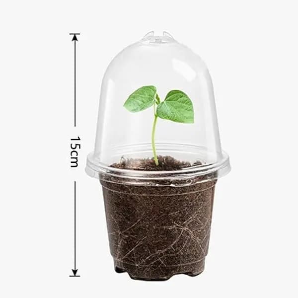 10-pack med klara, isolerade planteringskrukor med lock - plastfrökrukor för blommor och växter (klar).