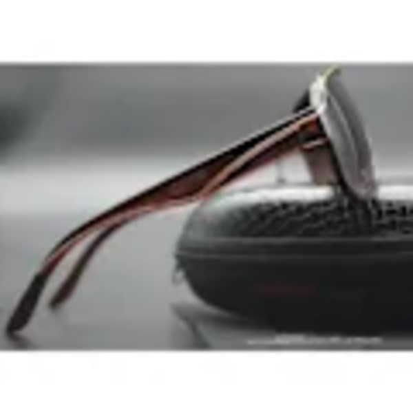 Carrera Ruthenium Pilot Solglasögon med Gradientlins för Män + Box Brun
