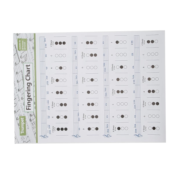 Trompet Akkorddiagram Fingersetting Noter Musikk Instrument Referanseguide for Hjem Klasse Stor