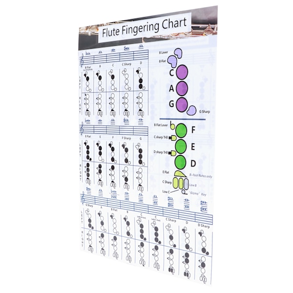 Fløyte Fingerings Chord Chart for Begynnere Student Øvelse Læringshjelpemiddel Instrument Tilbehør S(28x21cm)