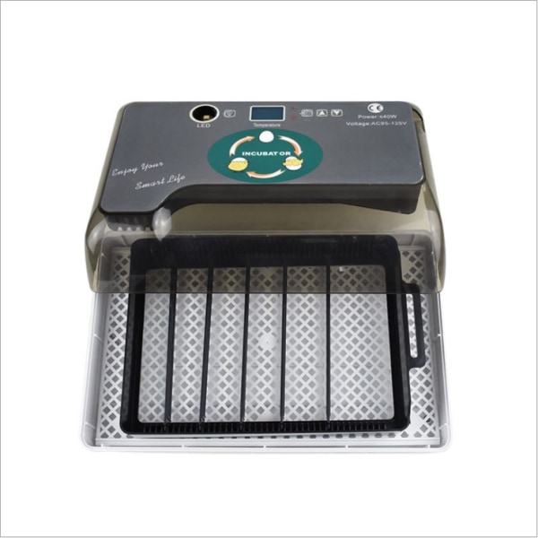 Home Incubator 12 Egg Capacity Incubator-