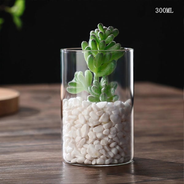 5 st Klar Glasvas Minimalistisk Glasvas Cylinderformad Vas för Bröllop Vardagsrum Dekorativ Gåva