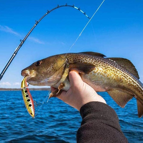 6 stk Toppvann Fiske Agnssett Plast Flytende Roterende Hale Fiske Agns Hard Agnskrok for Ferskvann Saltvann