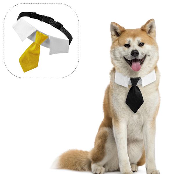 Hund Katt Smoking Halsband, Katt Bröllop fluga, Valp Födelsedag yellow M