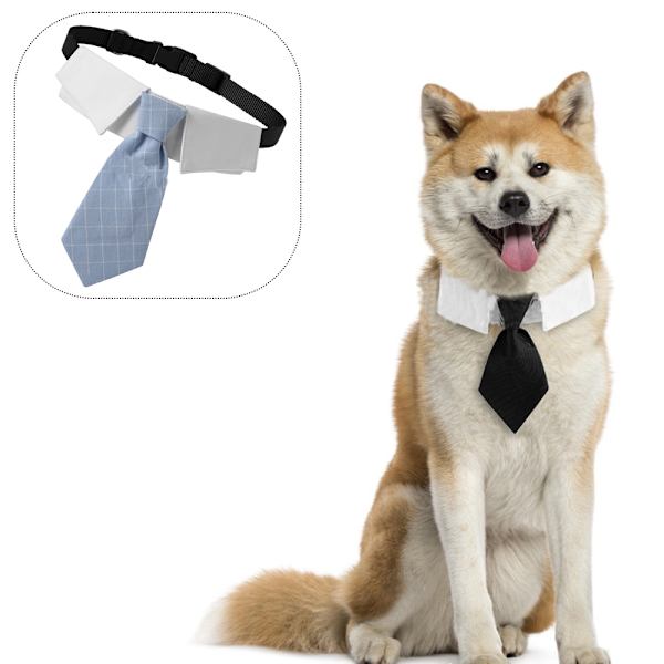 Hund Katt Smoking Halsband, Katt Bröllop fluga, Valp Födelsedag blue check M