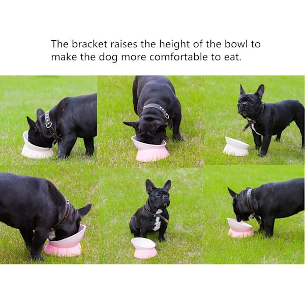 Bulldog Bowl Anti-Slip Hund Kattskål Avtagbar hundskål i gummi White