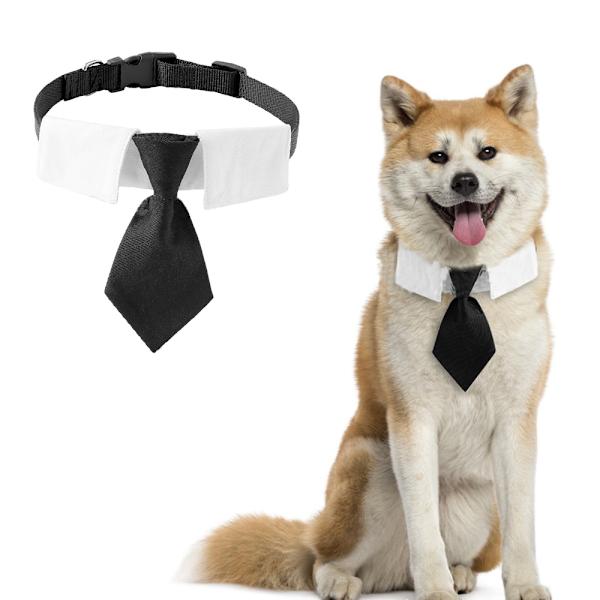 Hund Katt Smoking Halsband, Katt Bröllop fluga, Valp Födelsedag black M