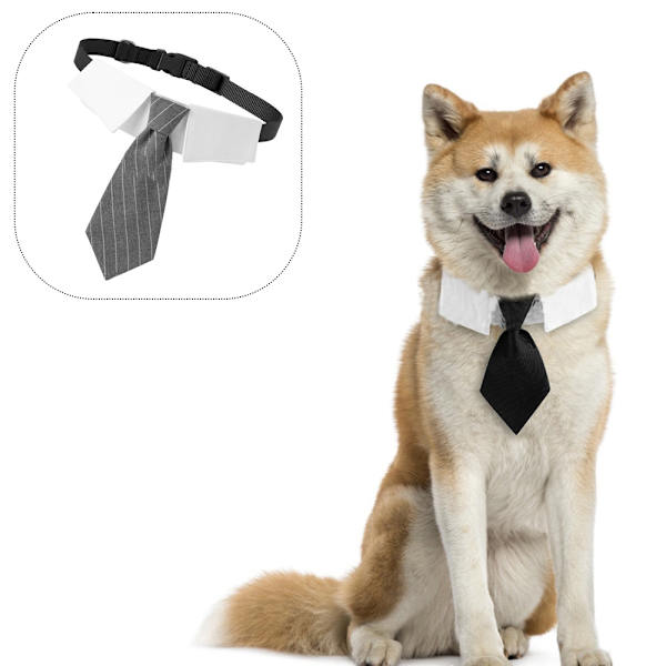 Hund Katt Smoking Halsband, Katt Bröllop fluga, Valp Födelsedag grey stripe M