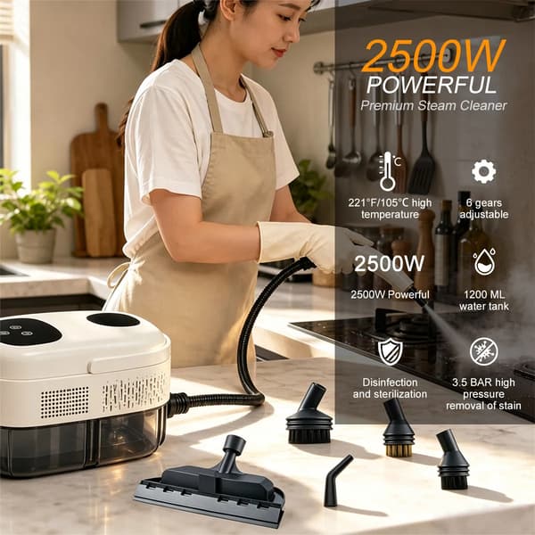 2500W Högtrycks- och Högtemperatur Hushålls Smart Ångrengörare vit white