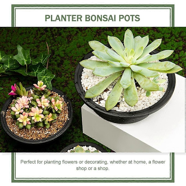 6 kpl Huonekasvit Sisätiloissa Elävät Ilmakasvit Ruukku Bonsai Ruukku Taimet Kasviruukku