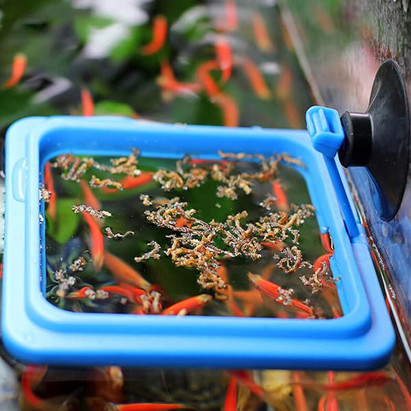 Fiskefoderring, Fiskesikker Flydende Foder Cirkel, med Sugekop Let at Installere Akvarium