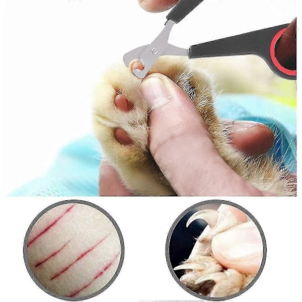 Lintujen Kynsileikkurit Hoitotyökalu Kynsisakset Leikkuri Lemmikkilintu Papukaija Pieneläintarvike Pienille Papukaijalinnuille 12*6cm Punainen Musta