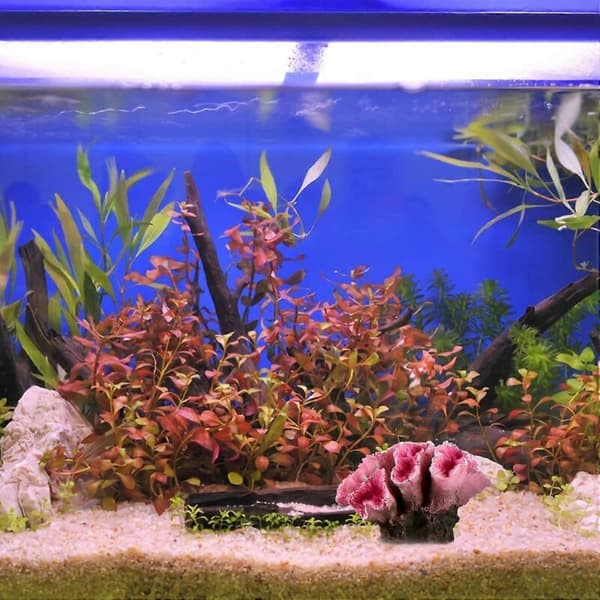 Kunstig korall akvariedekorasjon Korallpynt til akvarium