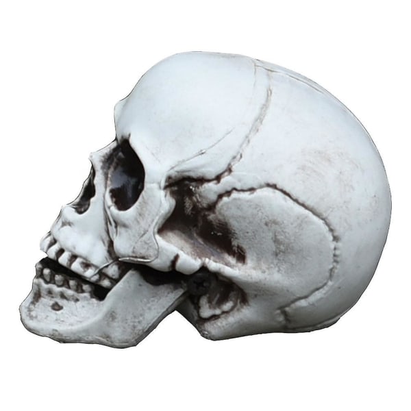1 st Halloween Skull Prop Plast Simulering Skelett Dekor Party Tricky Toy