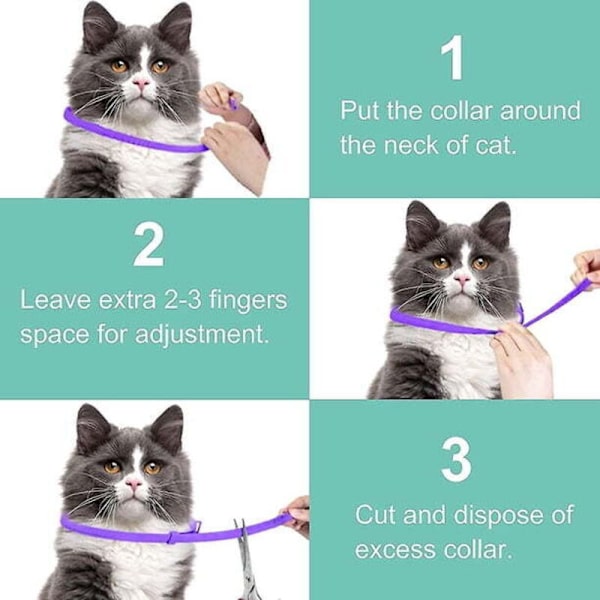Lopphalsband för katter (2-pack)