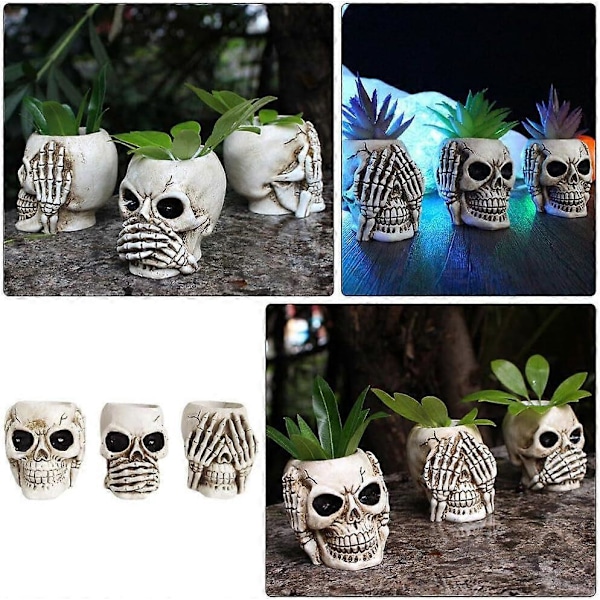 Havearbejde Blomsterpotter 3 Styk Kranieformet Blomsterpotter Hjem Kranie Ornament Blomsterpotter